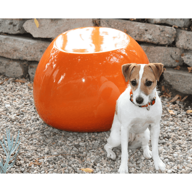 A dog sitting beside orange fiberglass pebble garden table placed on a gravel surface beside low brick wall