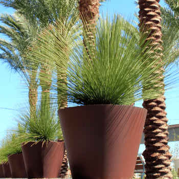 Round taper modern outdoor planters 