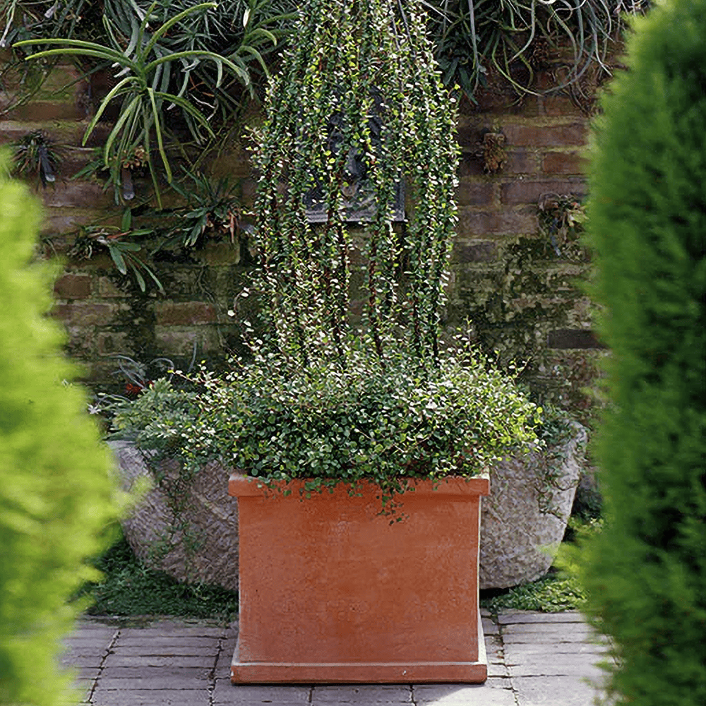 Italian Terracotta Basic Cube