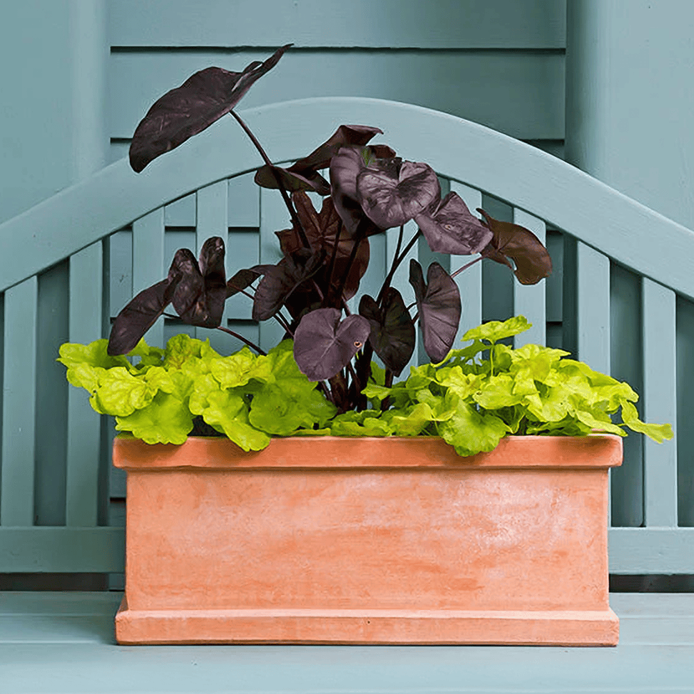 Italian Terracotta Basic Window Boxes