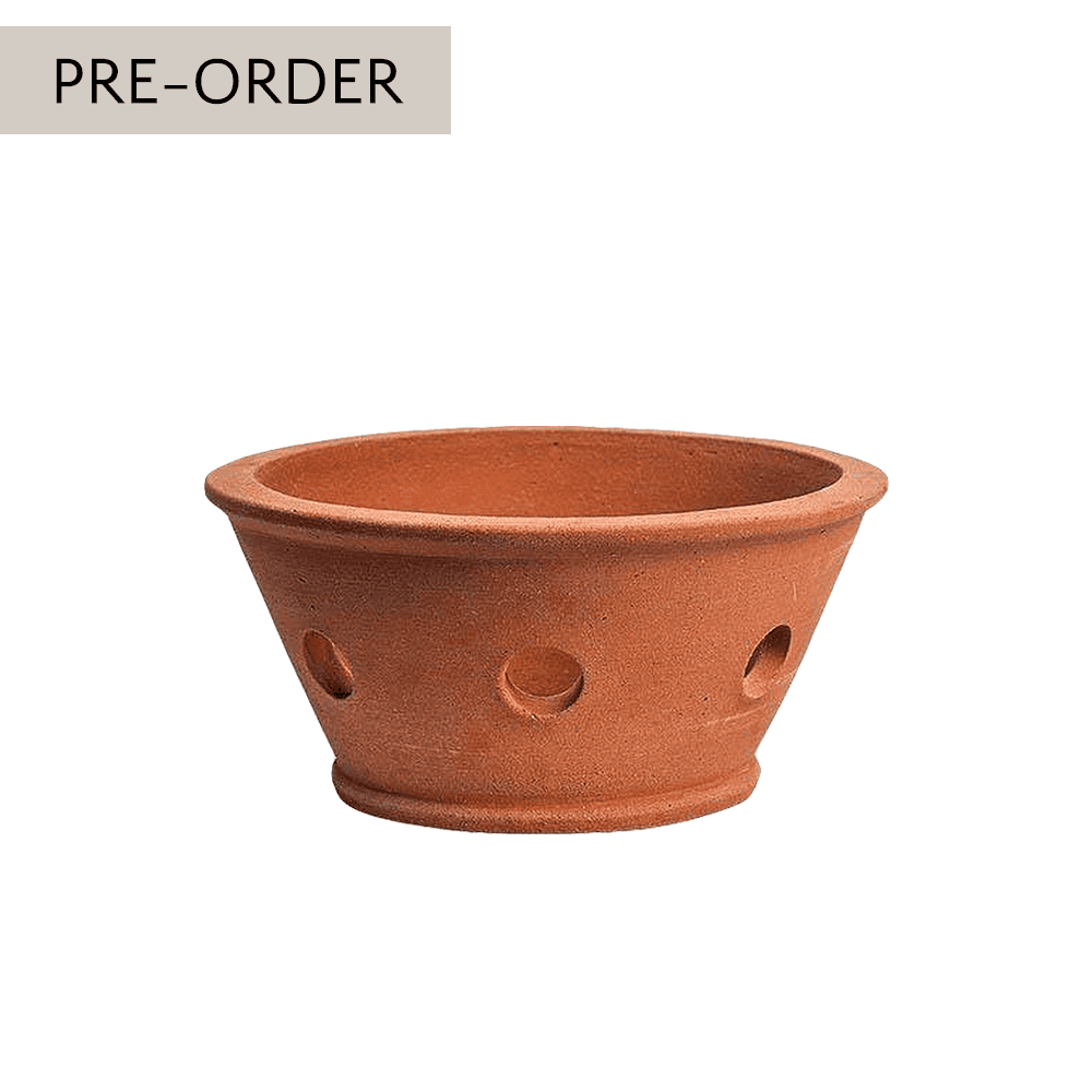 Italian Terracotta Orchid Pot