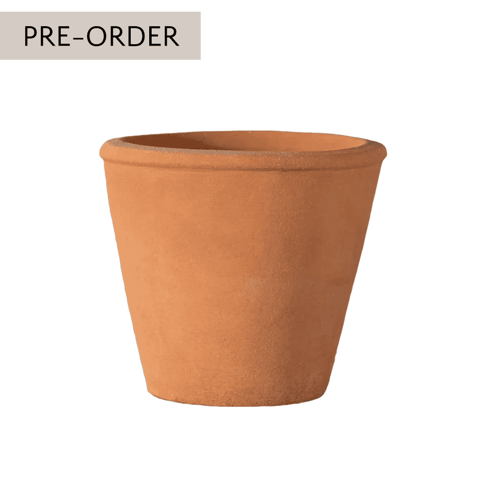 Italian Terracotta Tom Planter