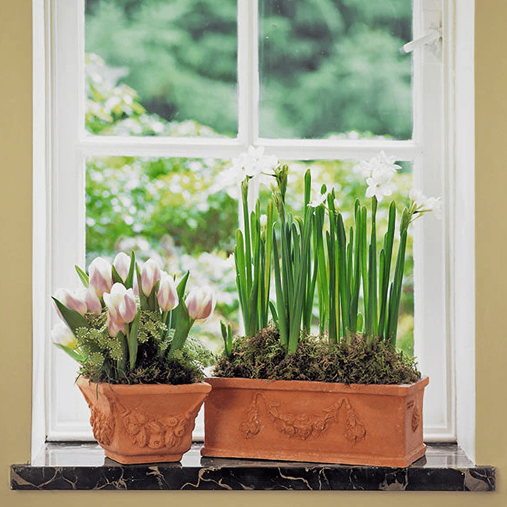 Italian Terracotta Small Garland Flower Box