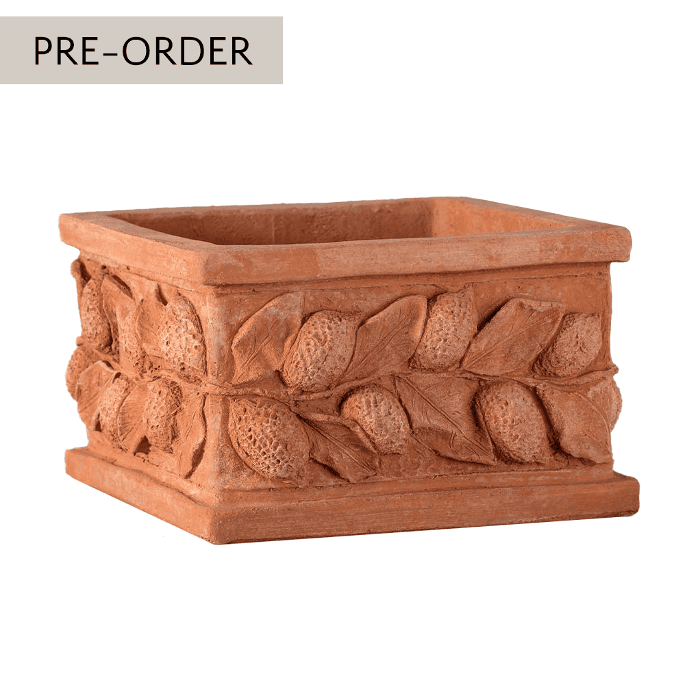 Italian Terracotta Square Lemon Box