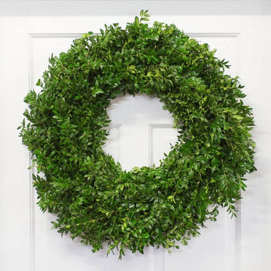 Boxhill's Fresh Boxwood Wreath hand on white door.