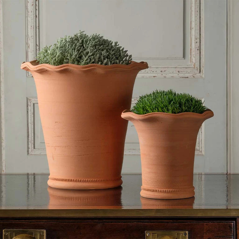 Two Italian Terra Cotta outdoor planters for patio with scalloped edges placed on a wooden surface both are containing a plant