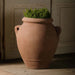 Italian Terracotta Naturale Olive Urn with Handles