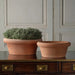 Two low bow Italian Terra Cotta Pots in different sizes placed on a wooden surface one is empty, other one is containing a plant