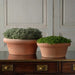 Two Italian Terracotta Pots in different sizes containing plants sit side by side on a wooden surface against paneled wall