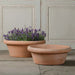 Two Italian Terracotta Pots in different sizes placed on a stone floor, one is containing a plant and the other one is empty
