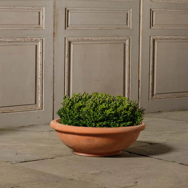 Boxhill's Italian Terracotta Shallow Bowl planted