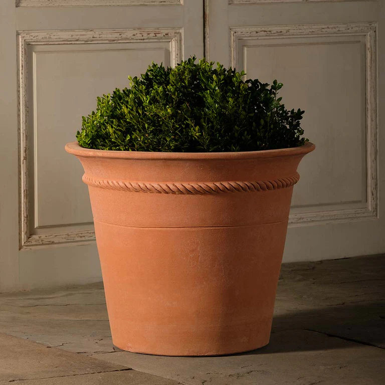 Boxhill's Italian Terracotta Peale Planter Pot planted