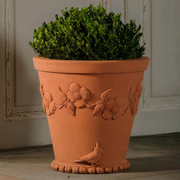 Italian Terracotta Tree Pot By Richard Hartlage