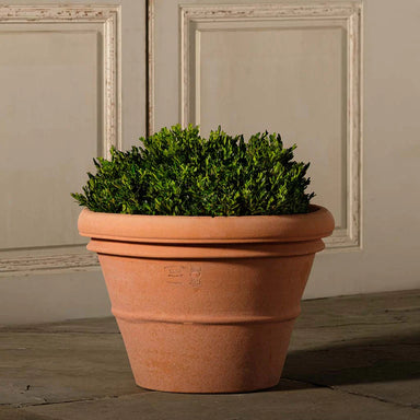 Italian Terracotta Artisan Rolled Rim Vase 12" planted