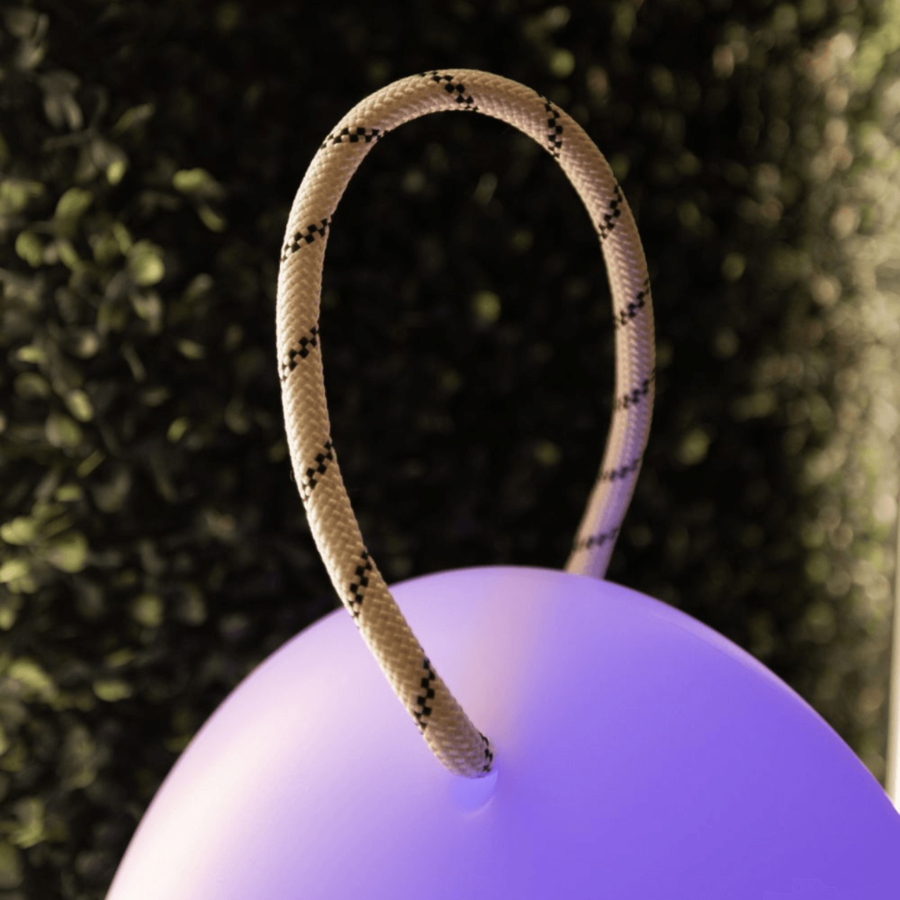 Amande Corde – LED Lamp