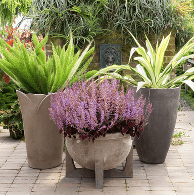 Grey Bowl On Stand
