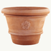 Rim Vase Planter