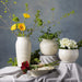 Piccoli Decorative Accent