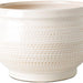 6"H x 10"W x 10"D Piccoli Decorative Accent